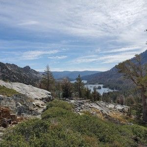 Meet your Posher, Sandy